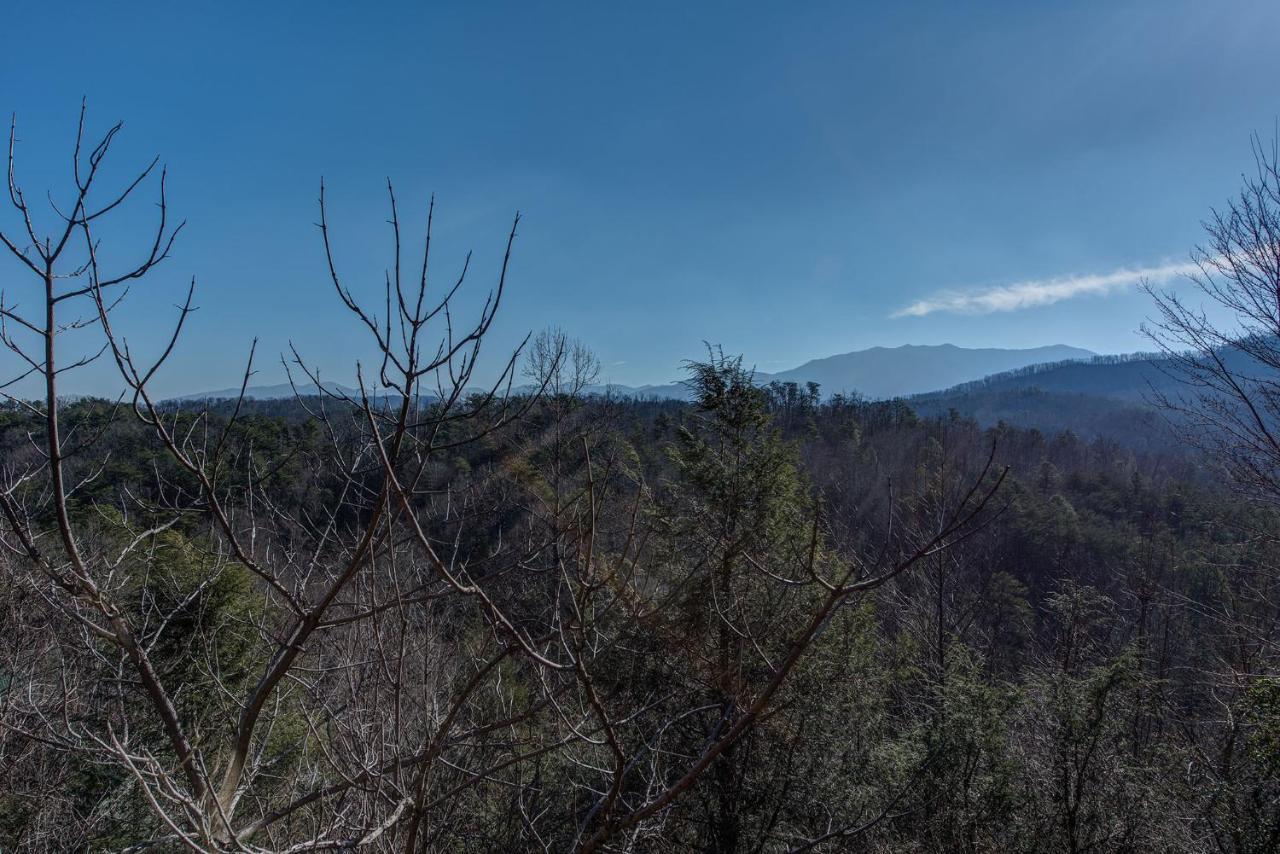 Aspens Envy Apartamento Pigeon Forge Exterior foto